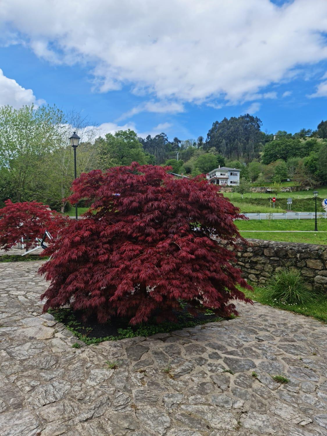 Posada Las Mozas Riocorvo Exterior photo